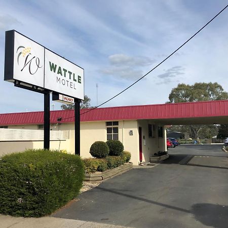 Wattle Motel Сиймор Екстериор снимка